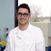 Marco Pane